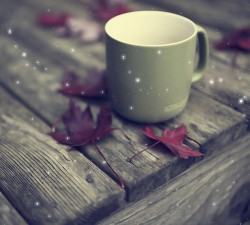 问鼎PG:如何在竞争中保持冷静与专注 问鼎PG:如何在竞争中保持冷静与专注