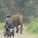 问鼎app下载:解决常见问题的详细步骤 gsjv0