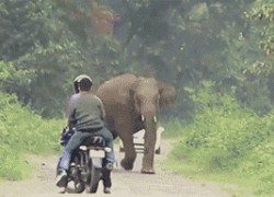 问鼎app下载:解决常见问题的详细步骤 问鼎app下载:解决常见问题的详细步骤