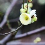 问鼎app的用户评价:真实反馈如何影响产品发展 mvkzv1fl