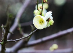 问鼎app的用户评价:真实反馈如何影响产品发展 问鼎app的用户评价:真实反馈如何影响产品发展