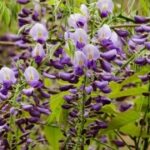 问鼎PG:如何在游戏中取得胜利的秘诀 r60lwvkk4