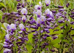 问鼎PG:如何在游戏中取得胜利的秘诀 问鼎PG:如何在游戏中取得胜利的秘诀