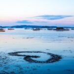 问鼎app的定期更新:新功能如何提升用户体验 zpj5dgf4