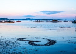 问鼎app的定期更新:新功能如何提升用户体验 问鼎app的定期更新:新功能如何提升用户体验